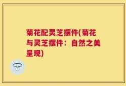 菊花配灵芝摆件(菊花与灵芝摆件：自然之美呈现)