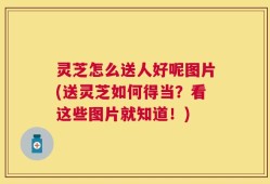 灵芝怎么送人好呢图片(送灵芝如何得当？看这些图片就知道！)