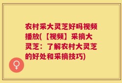 农村采大灵芝好吗视频播放(【视频】采摘大灵芝：了解农村大灵芝的好处和采摘技巧)