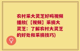 农村采大灵芝好吗视频播放(【视频】采摘大灵芝：了解农村大灵芝的好处和采摘技巧)