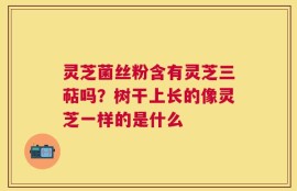 灵芝菌丝粉含有灵芝三萜吗？树干上长的像灵芝一样的是什么