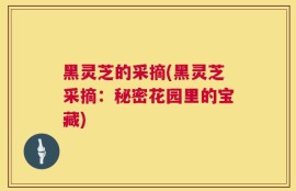 黑灵芝的采摘(黑灵芝采摘：秘密花园里的宝藏)