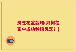 灵芝花盆栽培(如何在家中成功种植灵芝？)