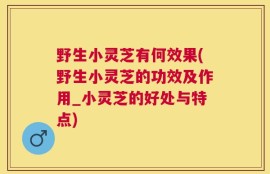 野生小灵芝有何效果(野生小灵芝的功效及作用_小灵芝的好处与特点)