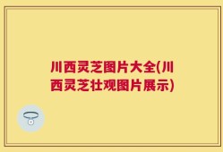 川西灵芝图片大全(川西灵芝壮观图片展示)