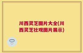 川西灵芝图片大全(川西灵芝壮观图片展示)