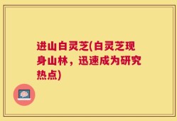 进山白灵芝(白灵芝现身山林，迅速成为研究热点)