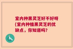 室内种黑灵芝好不好呀(室内种植黑灵芝的优缺点，你知道吗？