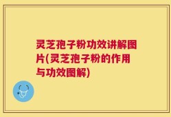 灵芝孢子粉功效讲解图片(灵芝孢子粉的作用与功效图解)