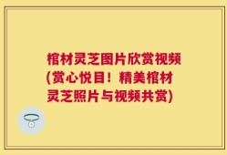 棺材灵芝图片欣赏视频(赏心悦目！精美棺材灵芝照片与视频共赏)