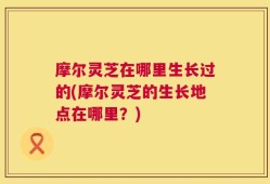摩尔灵芝在哪里生长过的(摩尔灵芝的生长地点在哪里？)