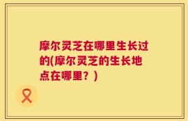 摩尔灵芝在哪里生长过的(摩尔灵芝的生长地点在哪里？)