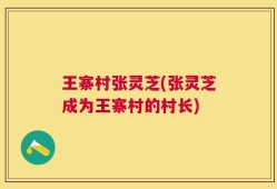 王寨村张灵芝(张灵芝成为王寨村的村长)
