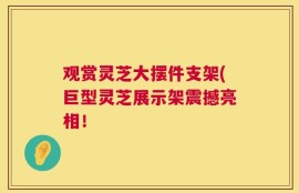 观赏灵芝大摆件支架(巨型灵芝展示架震撼亮相！