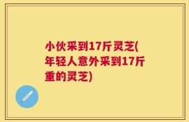 小伙采到17斤灵芝(年轻人意外采到17斤重的灵芝)
