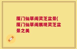 厦门仙草阁灵芝盆景(厦门仙草阁展现灵芝盆景之美