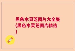 黑色木灵芝图片大全集(黑色木灵芝图片精选)