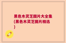 黑色木灵芝图片大全集(黑色木灵芝图片精选)
