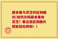 藏青果与灵芝的区别图片(如何分辨藏青果和灵芝？看这张区别图片就能轻松辨别！)