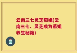 云南三七灵芝燕姐(云南三七、灵芝成为燕姐养生秘籍)