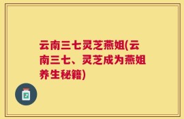 云南三七灵芝燕姐(云南三七、灵芝成为燕姐养生秘籍)