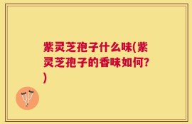 紫灵芝孢子什么味(紫灵芝孢子的香味如何？)