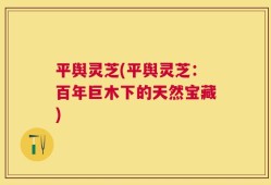 平舆灵芝(平舆灵芝：百年巨木下的天然宝藏)
