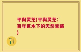 平舆灵芝(平舆灵芝：百年巨木下的天然宝藏)