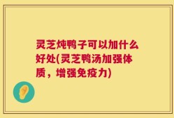 灵芝炖鸭子可以加什么好处(灵芝鸭汤加强体质，增强免疫力)