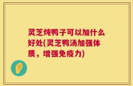 灵芝炖鸭子可以加什么好处(灵芝鸭汤加强体质，增强免疫力)
