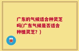 广东的气候适合种灵芝吗(广东气候是否适合种植灵芝？)