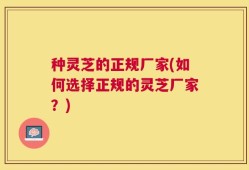 种灵芝的正规厂家(如何选择正规的灵芝厂家？)