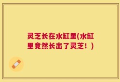 灵芝长在水缸里(水缸里竟然长出了灵芝！)