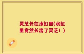 灵芝长在水缸里(水缸里竟然长出了灵芝！)
