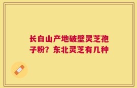 长白山产地破壁灵芝孢子粉？东北灵芝有几种