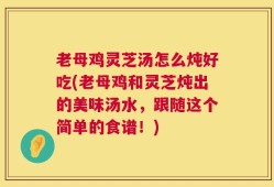 老母鸡灵芝汤怎么炖好吃(老母鸡和灵芝炖出的美味汤水，跟随这个简单的食谱！)