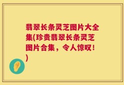 翡翠长条灵芝图片大全集(珍贵翡翠长条灵芝图片合集，令人惊叹！)