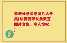 翡翠长条灵芝图片大全集(珍贵翡翠长条灵芝图片合集，令人惊叹！)