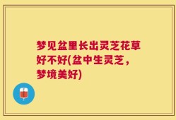 梦见盆里长出灵芝花草好不好(盆中生灵芝，梦境美好)