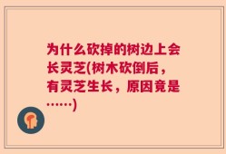 为什么砍掉的树边上会长灵芝(树木砍倒后，有灵芝生长，原因竟是……)