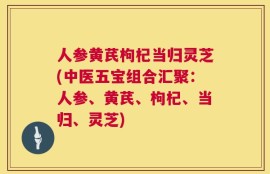人参黄芪枸杞当归灵芝(中医五宝组合汇聚：人参、黄芪、枸杞、当归、灵芝)