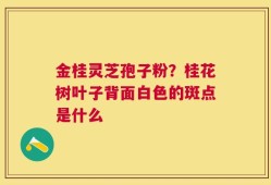 金桂灵芝孢子粉？桂花树叶子背面白色的斑点是什么
