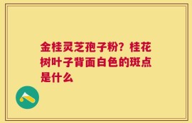 金桂灵芝孢子粉？桂花树叶子背面白色的斑点是什么
