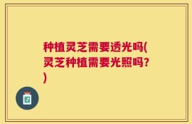 种植灵芝需要透光吗(灵芝种植需要光照吗？)