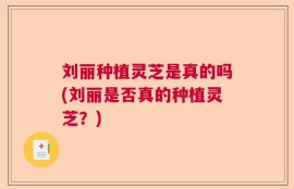 刘丽种植灵芝是真的吗(刘丽是否真的种植灵芝？)