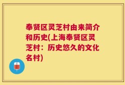 奉贤区灵芝村由来简介和历史(上海奉贤区灵芝村：历史悠久的文化名村)