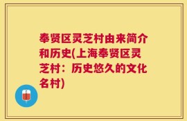 奉贤区灵芝村由来简介和历史(上海奉贤区灵芝村：历史悠久的文化名村)