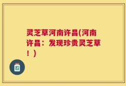 灵芝草河南许昌(河南许昌：发现珍贵灵芝草！)