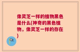 像灵芝一样的植物黑色是什么(神奇的黑色植物，像灵芝一样的存在)