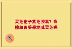 灵芝孢子紫芝胶囊？夜檀和青葵是地脉灵芝吗